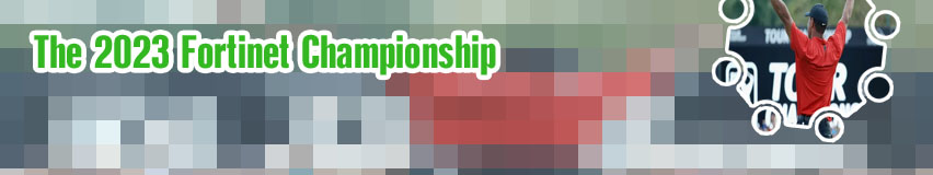 Tour championship odds to win